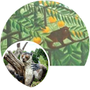 ChIJfYez1W0D2UcRCVEMqeQbmfs 18dabd38532dd5025aab6db01d37f45e ChIJfYez1W0D2UcRCVEMqeQbmfs 18dabd38532dd5025aab6db01d37f45e