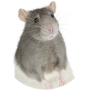 ChIJjeKe2DkBckgR ezloR4yHPc 29ab24dbc04124b5c0283f3088c40c8a ChIJjeKe2DkBckgR ezloR4yHPc 29ab24dbc04124b5c0283f3088c40c8a